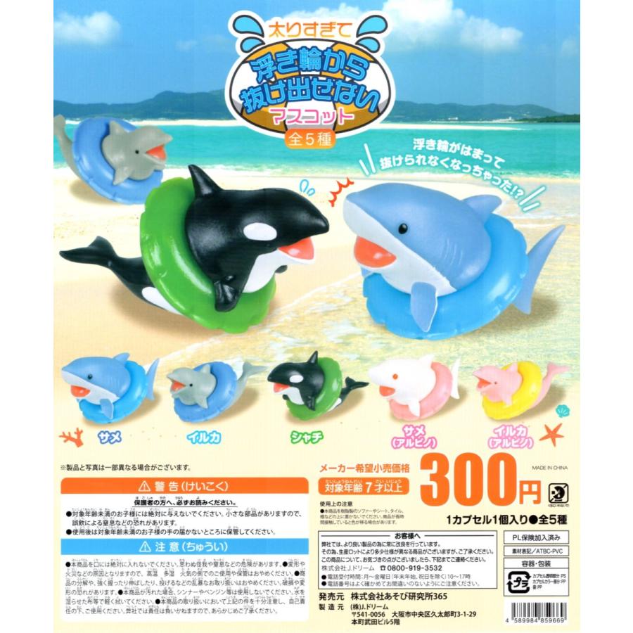 太りすぎて浮き輪から抜け出せない マスコット 全5種セット コンプ コンプリートセット C アミュームショップ 通販 Yahoo ショッピング