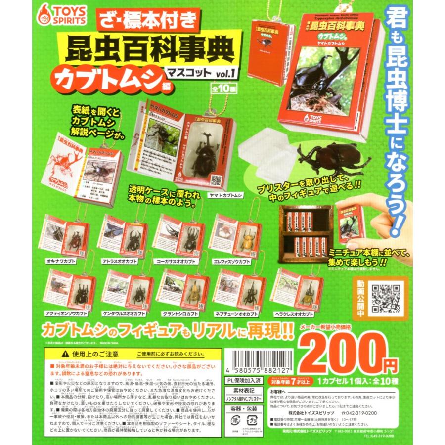 ざ 標本付 昆虫百科事典マスコットvol 1 カブトムシ編 全10種セット 昆虫 ミニチュア コンプリートセット 予約 C アミュームショップ 通販 Yahoo ショッピング