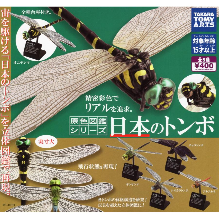 タカラトミーアーツ 原色図鑑シリーズ 日本のトンボ 全5種セット