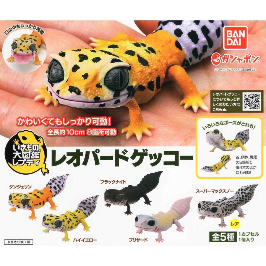 ヘビ　レオパ　品種図鑑セット ヘビ レオパ 品種図鑑セット ヘビ レオパ 品種図鑑セット 新訂版