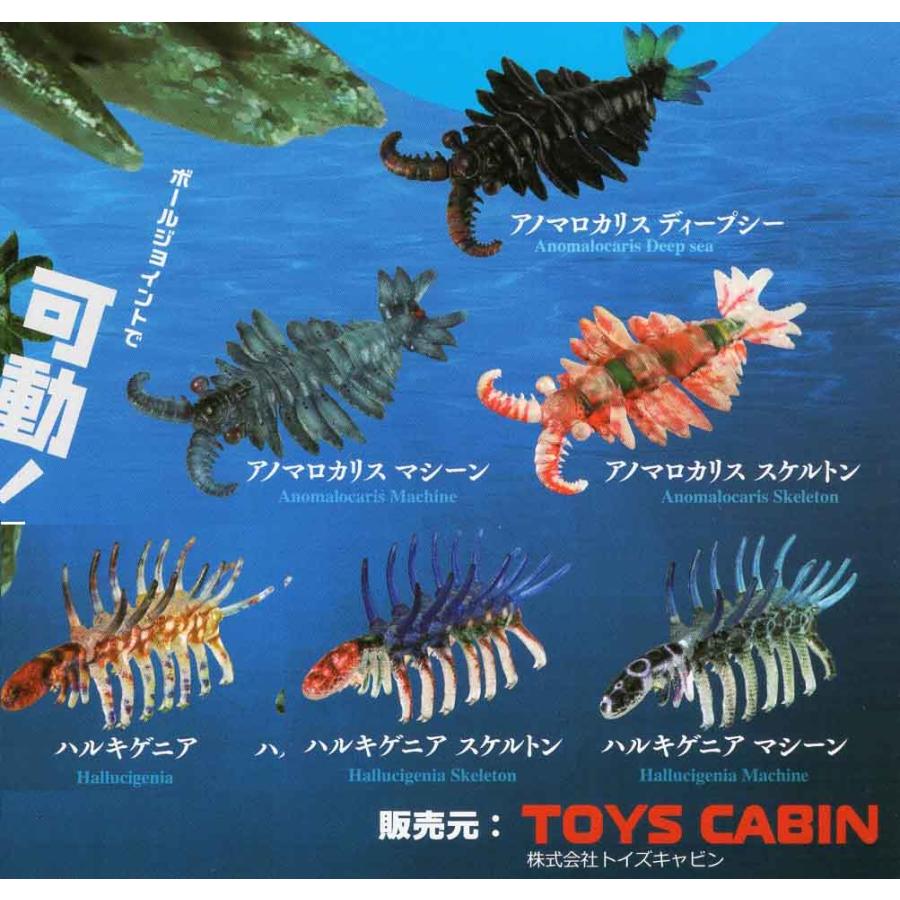 可動 古生物 6種セット : アミュームショップ - 通販 - Yahoo!ショッピング