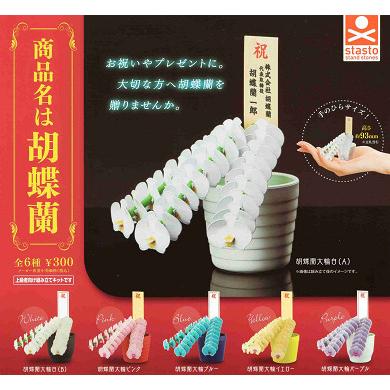 商品名は胡蝶蘭 全6種セット コンプ コンプリートセット : アミューム