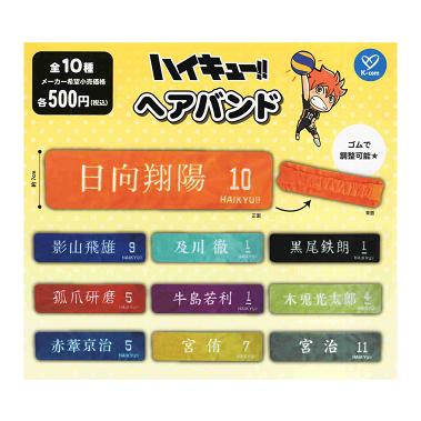 ハイキュー ヘアバンド 全10種セット コンプ コンプリートセット