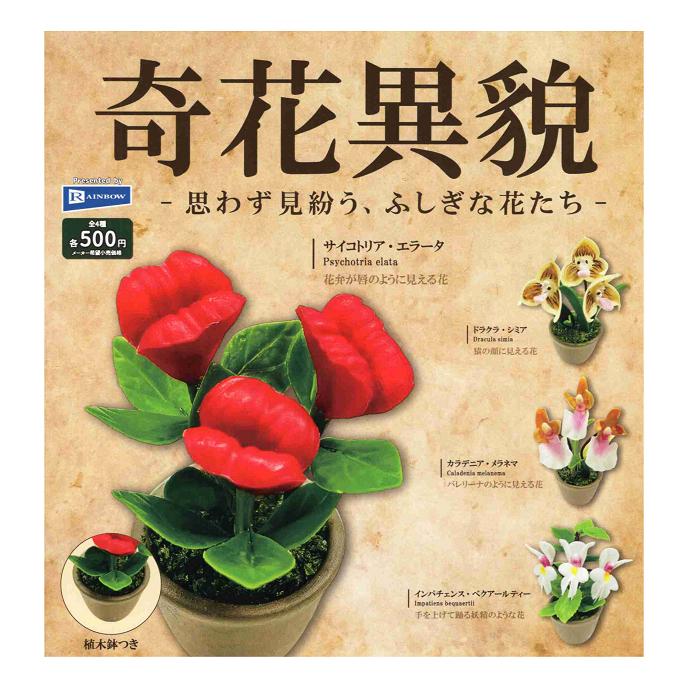 奇花異貌 思わず見紛う、ふしぎな花たち 全4種セット コンプ