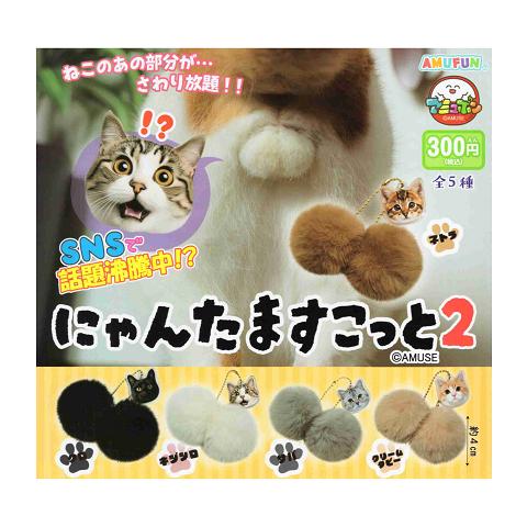 にゃんたますこっと2 全5種セット コンプ コンプリートセット