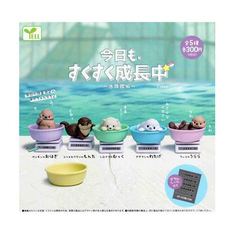 今日も、すくすく成長中 水族館編 全5種セット コンプ コンプリート