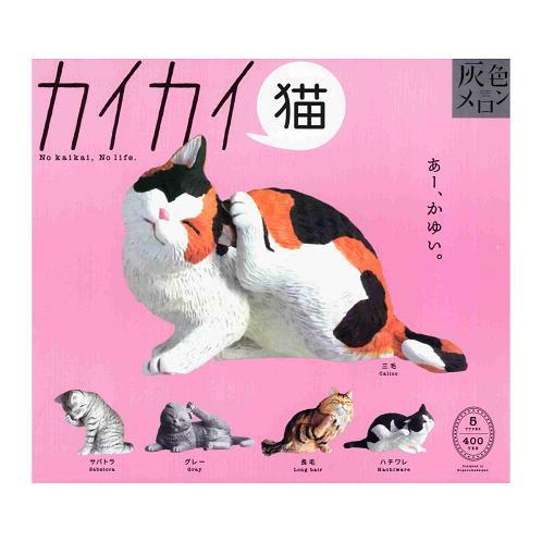 カイカイ猫 全5種セット コンプ コンプリートセット : アミューム