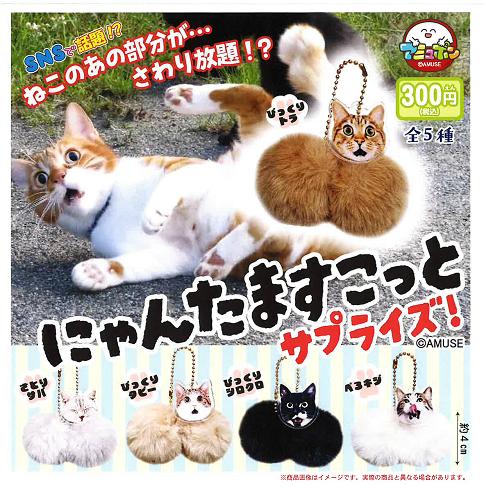 にゃんたますこっと サプライズ 全5種セット コンプ コンプリート