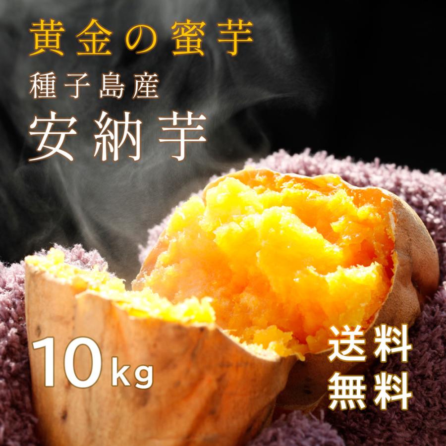 種子島安納いも黄金M１０キロ 種子島 安納芋 さつまいも 10kg 【10月〜11月頃から発送】送料