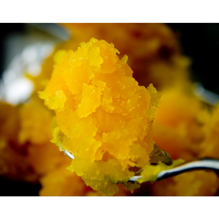種子島 安納芋 さつまいも 10kg 【10月〜11月頃から発送】送料無料