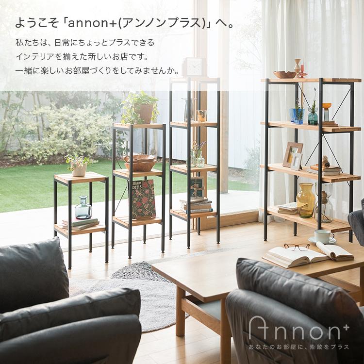 ココロまで落ち着くドレッサー ドレッサー メイク台 省スペース 寝室 ヴィンテージ調 ビスカーナ 幅1 奥行40 高さ71cm 化粧台 机 コンパクト Ap 1270 Ds ラックとインテリア通販 An Non 通販 Paypayモール