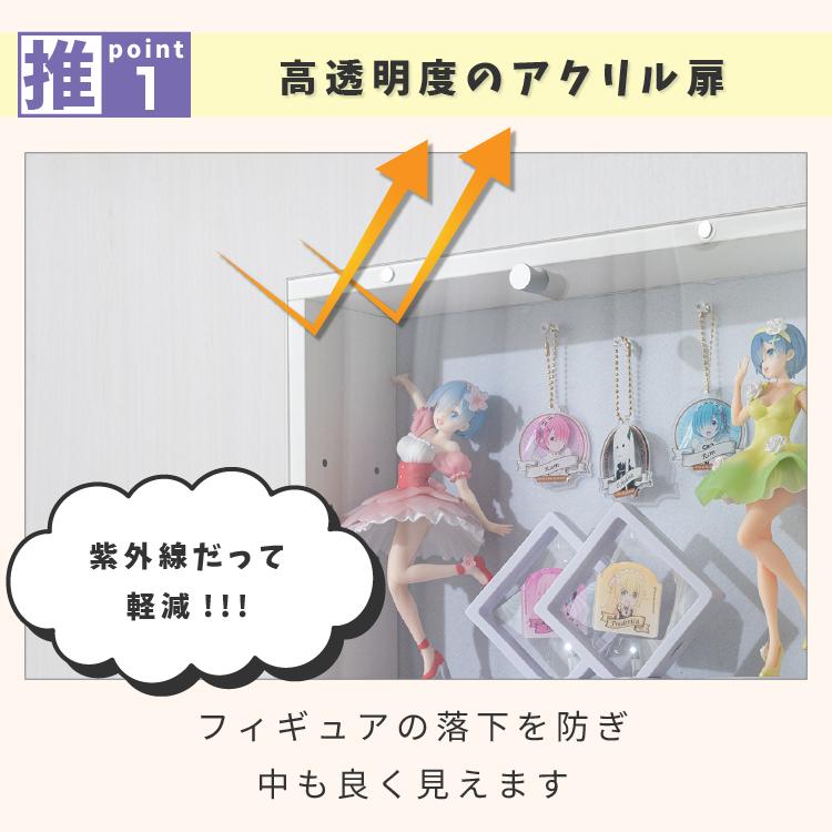 【アクリル画】 商品名 小判川1  額付き新品未使用品 コレクションケース 壁掛け 幅40cm アクリル フィギュアケース