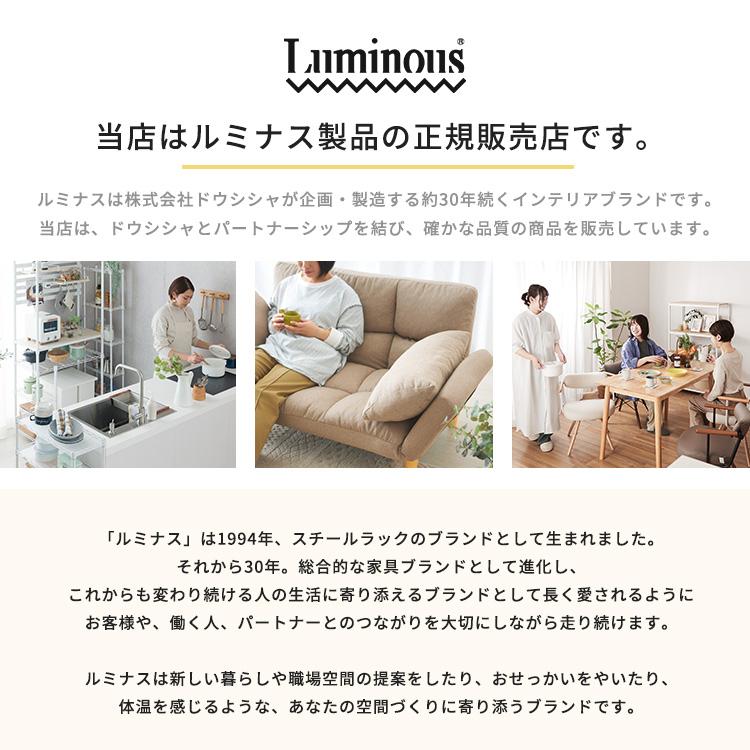 Luminous ハンガーラック 頑丈 2段 パイプハンガー 幅100 スリム
