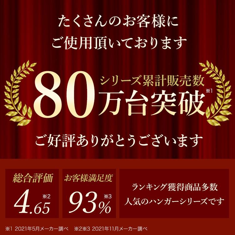 アパレルショップにも支持される ハンガーラック 大量収納 ワードローブ 上下2段 幅100 たくさんかかる 頑丈 耐荷重1kg Hps2 100 ラックとインテリア通販 An Non 通販 Paypayモール