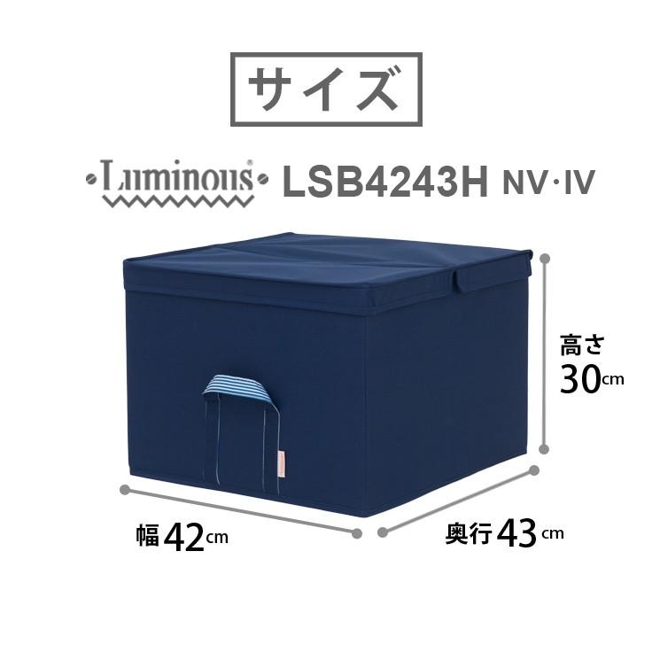 Iv11月下旬入荷予定 ファブリックボックス 布製 おしゃれ 便利 ファブリック 収納ケース 幅45 奥行45 高さ30 衣類収納 布製ケース Lsb4243hnv Lsb4243hiv ラックとインテリア通販 An Non 通販 Paypayモール