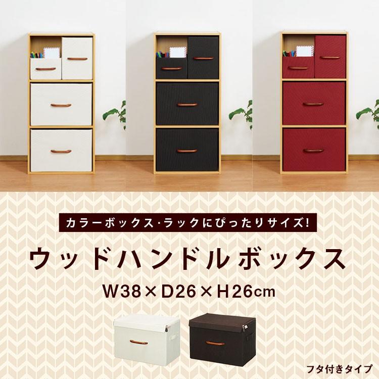Luminous 収納ボックス 収納ケース 収納 クローゼット 押入れ 引き出し