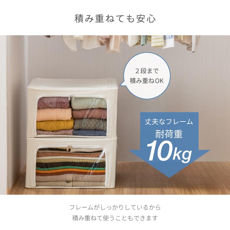 Luminous ルミナス 収納ボックス 収納ケース 衣装ケース 衣類収納