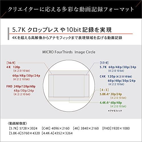5年保証付き(自然故障)】パナソニック ミラーレス一眼カメラ