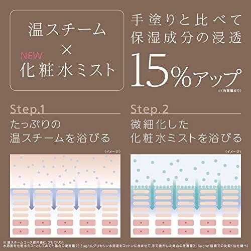 パナソニック スチーマー ナノケア W温冷エステタイプ 化粧水ミスト搭載 パナソニック スチーマー ナノケア W温冷エステタイプ 化粧水ミスト