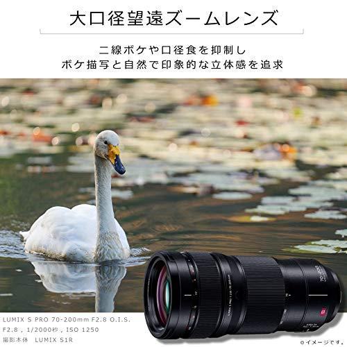 パナソニック 望遠ズームレンズ フルサイズミラーレス一眼 Lマウント