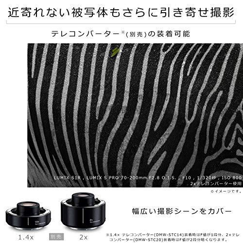 パナソニック 望遠ズームレンズ フルサイズミラーレス一眼 Lマウント