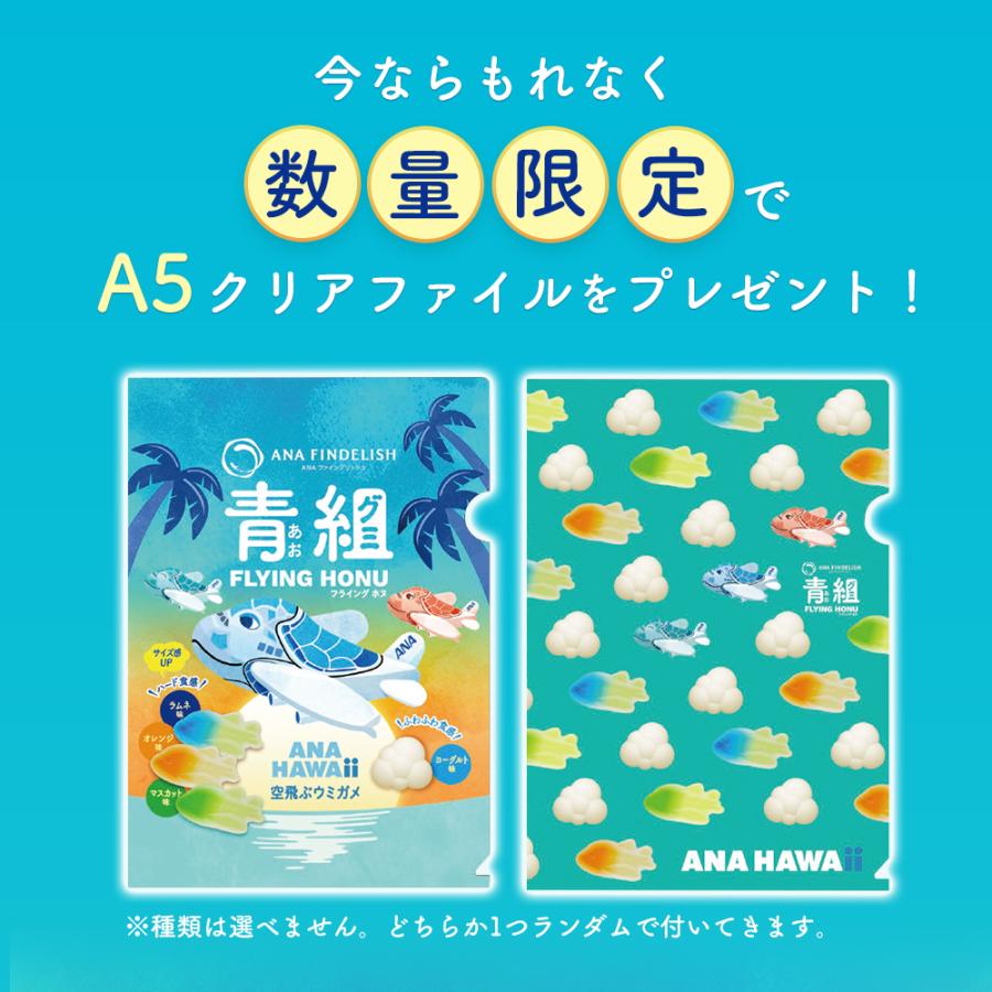 グミ ANA 青組FLYING HONUフライングホヌ 10袋入り 詰め合わせ