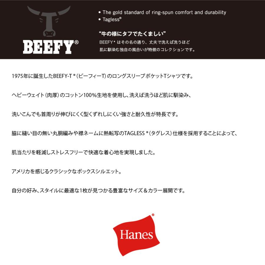 ヘインズ Hanes ポケットTシャツ 長袖 ロンT BEEFY-T ビーフィーT ロングスリーブ 24SS 春夏 ベーシック H5196 メンズ レディース｜anagram｜15