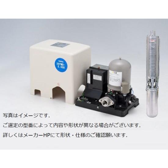 テラル 家庭用ポンプ 深井戸用 定圧給水式 50Hz 25TWS-5.6S-11