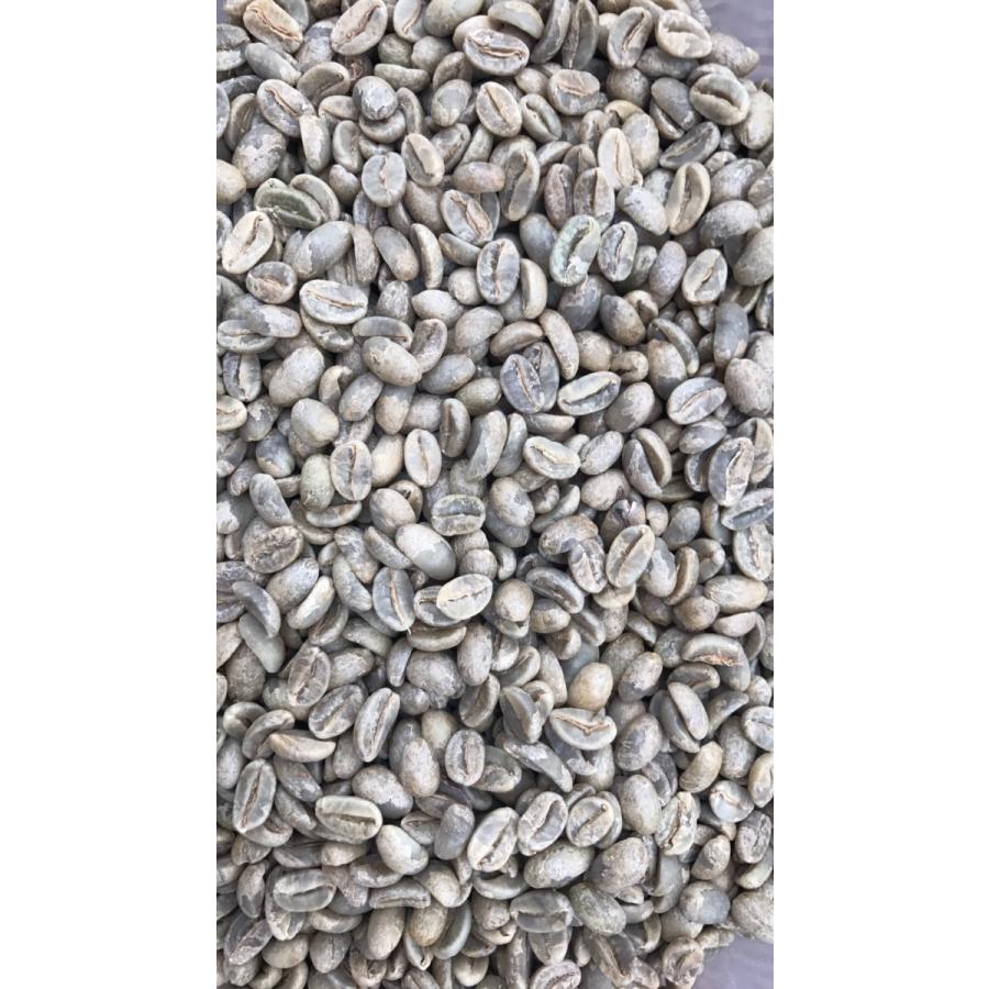 ニカラグア スペシャルティコーヒー 生豆 1袋35キロ サンタマウラ大
