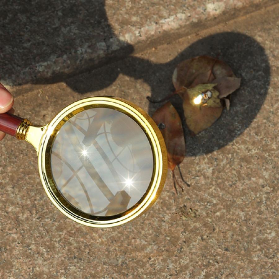 虫眼鏡 ルーペ 拡大鏡 10倍 虫めがね 虫メガネ : ANALIZA - 通販