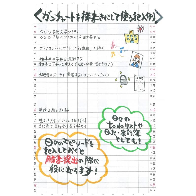 公式　アナログママ　analogmama 　受験スケジュール帳　＜2027年受験用＞　A5　受験　手帳　スケジュール帳  携帯　受験手帳　合格　10月はじまり　合格ノート |  | 10