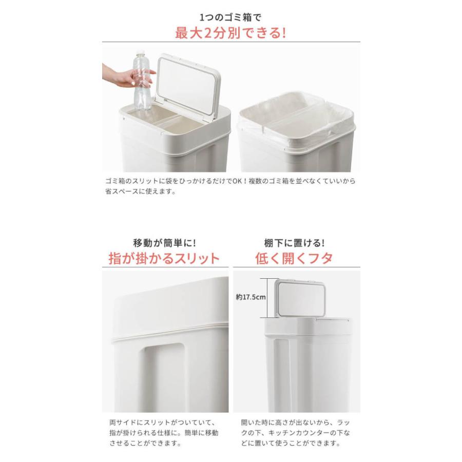 RISU（リス） RISU植物由来キャスターペール70C2 ゴミ箱 屋外 大型