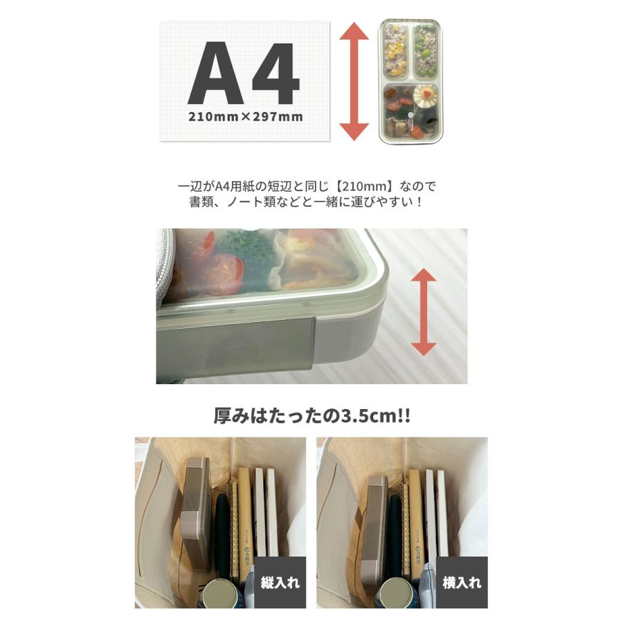 薄型弁当箱 抗菌フードマン 400 お弁当箱 弁当箱 女子 子供 1段 400ml 洗いやすい 電子レンジ 食洗機 男性 女性 FOODMAN | フードマン | 12