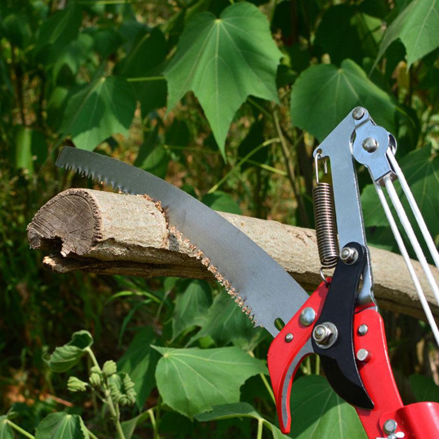 高枝切りバサミ ロープ式 高枝切りのこぎり 高枝ノコギリ 高枝切りバサミ 高枝切鋏 軽量 はさみ ガーデニング用品 剪定 果実 採取 枝切 ハサミ 園芸 D08 2a アナミストア 通販 Yahoo ショッピング