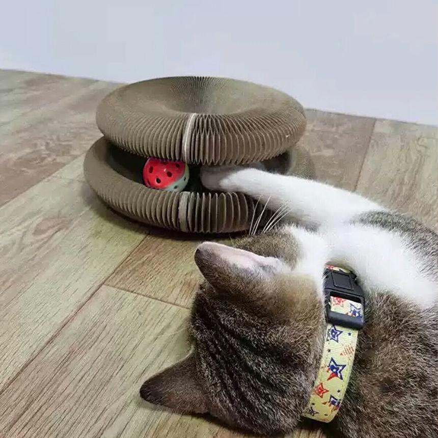 組み立て簡単 大きいボール 爪とぎ 猫の爪研ぎ つめとぎ 楽天市場】【10/4〜10/9限定ポイント5倍！】猫用爪とぎ 爪研ぎ