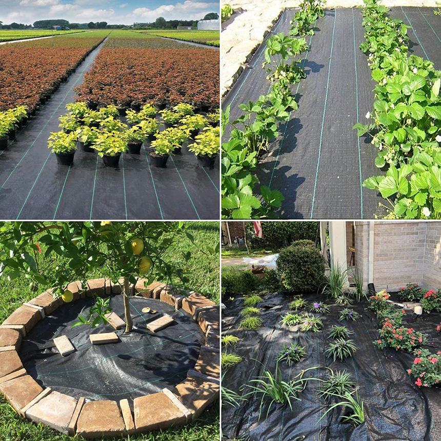 防草シート 50m X 1m 除草シート 園芸用シート 雑草シート UV剤入り 高
