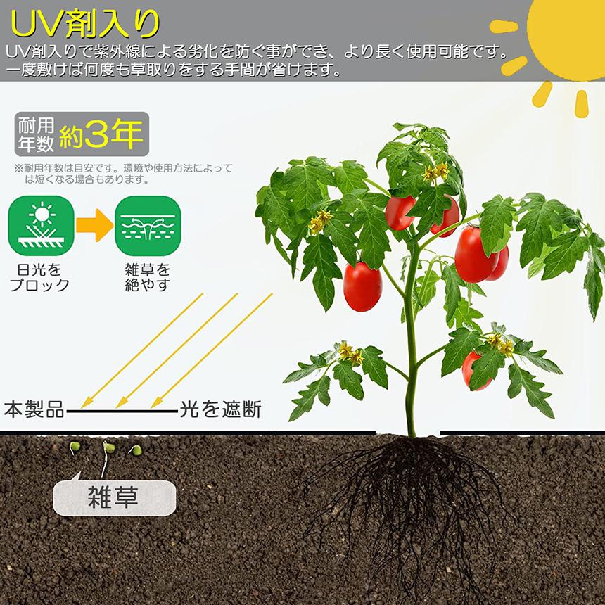 爆買 防草シート 100m X 2m 除草シート 園芸用シート 雑草シート UV剤