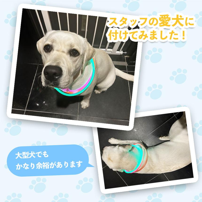 光る首輪 犬 点灯 首輪 光る led 散歩 USB充電式 LED光る首輪 LED