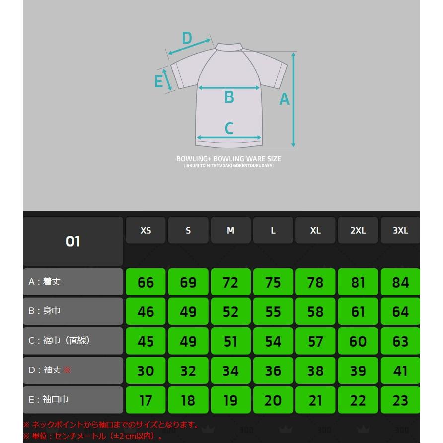 B+/ボウリングウェア/立襟ジッパーシャツ/チームサンブリッジ