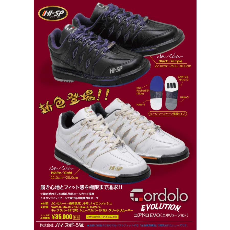 HI-SPORTS/ボウリングシューズ コアドロエボリューション(2021)(左右