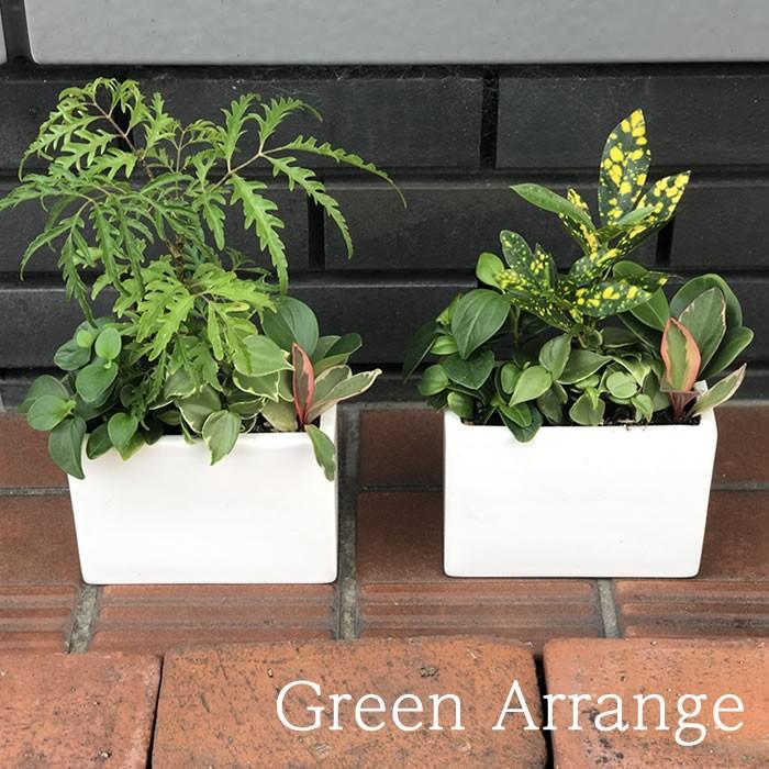 観葉植物 寄せ植え ミニサイズ テーブルサイズ おまかせ 誕生日 バースデー プレゼント ギフト お祝い 退職祝い 送別会 引っ越し祝い G 0001 Sanana Store サナナストア 通販 Yahoo ショッピング