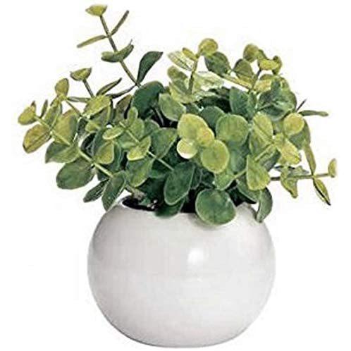 かわいい セール価格 まあるい 光触媒 インテリア ユーカリ グリーン