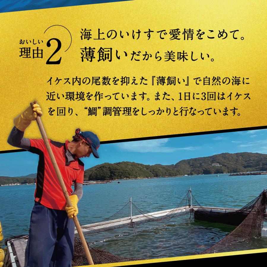 ＜送料無料＞南伊勢ブランド真鯛　３枚おろし・皮なし１kg〜1.2kg【尾頭・アラ付き】｜anataniaitai｜08