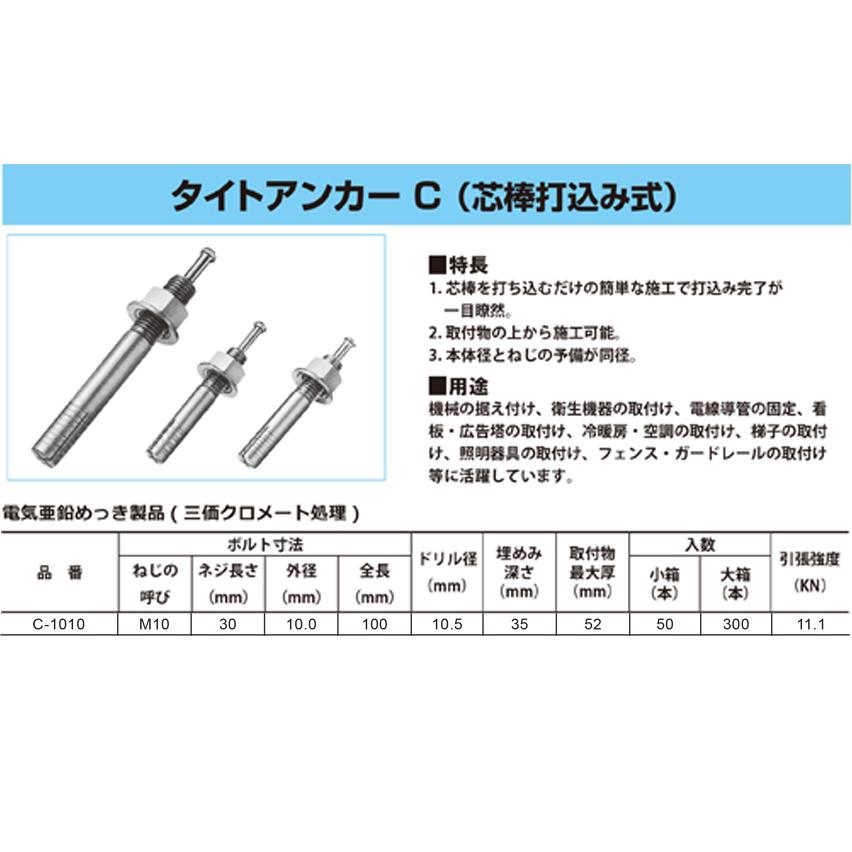 C-1010　タイトアンカー300本入　エイワイファスナー（芯棒打込み式）