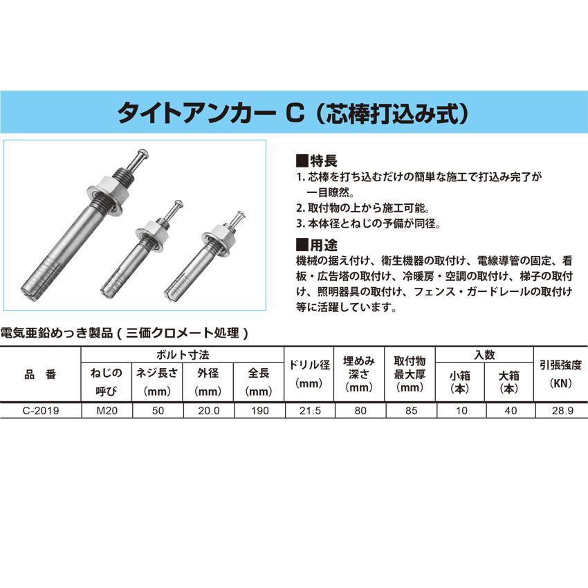 C-2019　タイトアンカー　40本入　エイワイファスナー（芯棒打込み式）