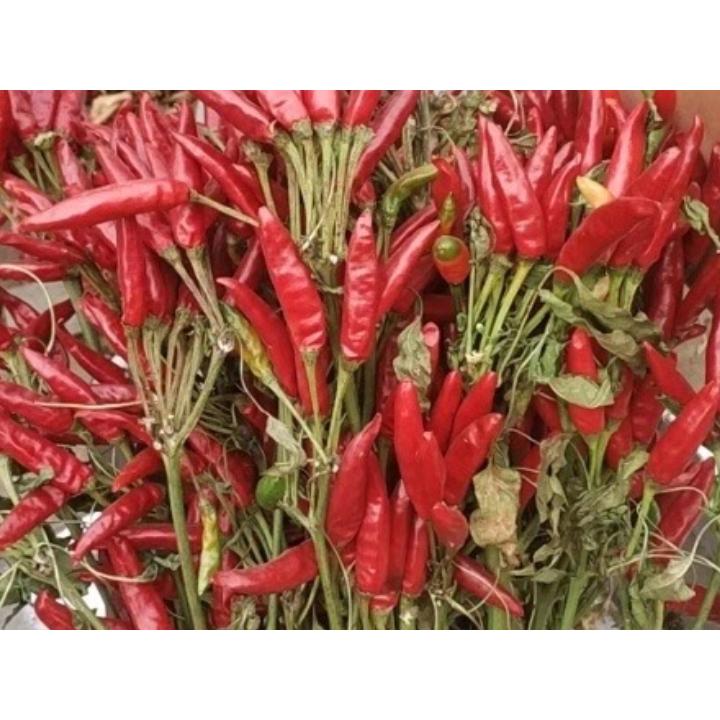 辛口唐辛子 唐辛子粉（中粗）＜コチュカル＞１ｋｇ/激辛料理 キムチ漬け 韓国料理 カプサイシン 1kg用 |  | 03