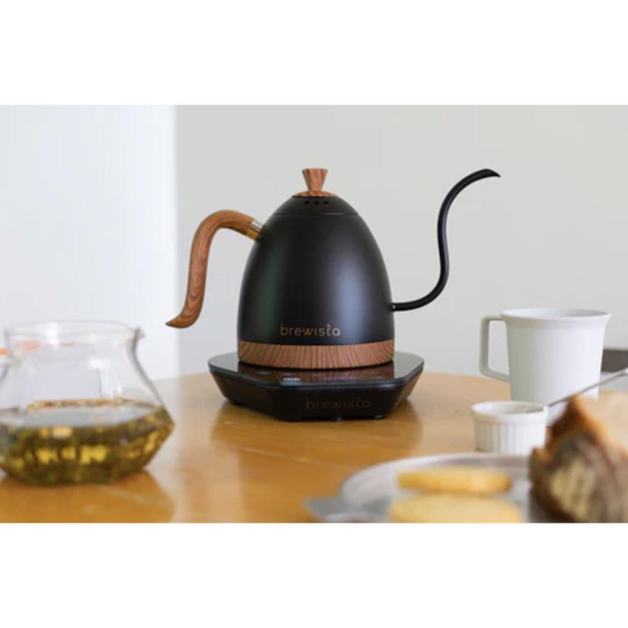 0.6L ブリューイスタ アルティザン グースネックバリアブルケトル