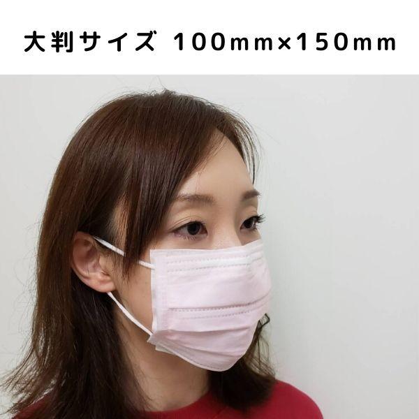 日本製 不織布 大判タイプ マスク 交換シート 100枚 インナーマスク 