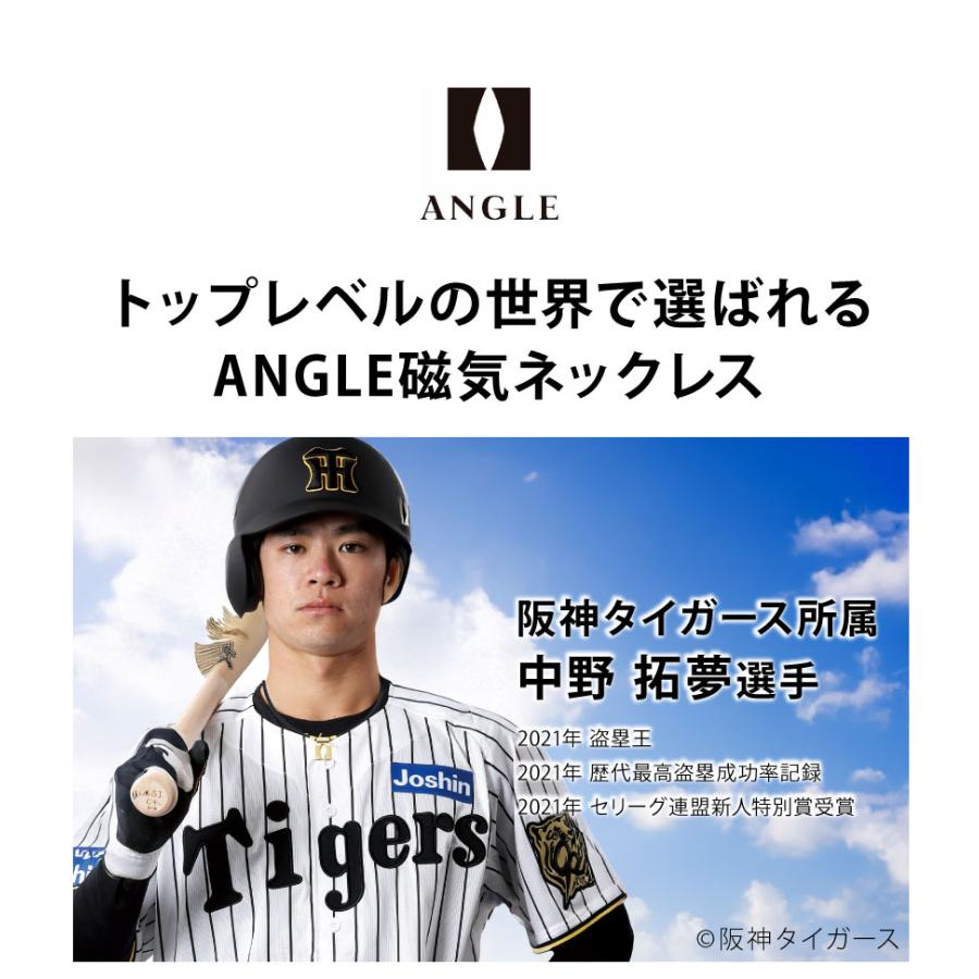 人気スポーツネックレス　野球ほか 楽天市場】スポーツネックレス X エックス Nシリーズ シャンパン