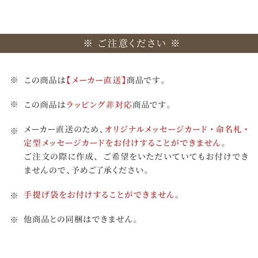 ARTISTIC＆CO. 美顔器 EMS リフトアップ 美容家電 顔 目元 プレゼント